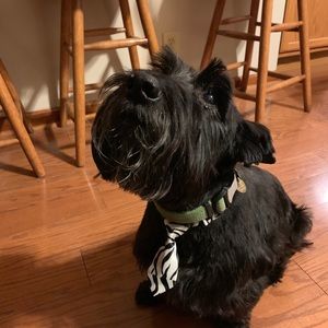 Meet your Posher, Madison